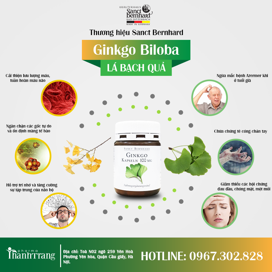  Thực phẩm bảo vệ sức khoẻ GINKGO 100Mg